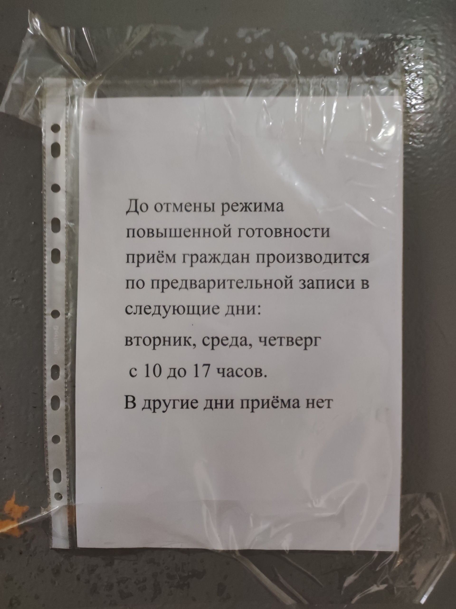 Нотариус Шашелева А.В., улица Горького, 4, Находка — 2ГИС