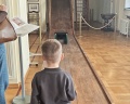 Дворцовый парк: отзыв от Дмитрий