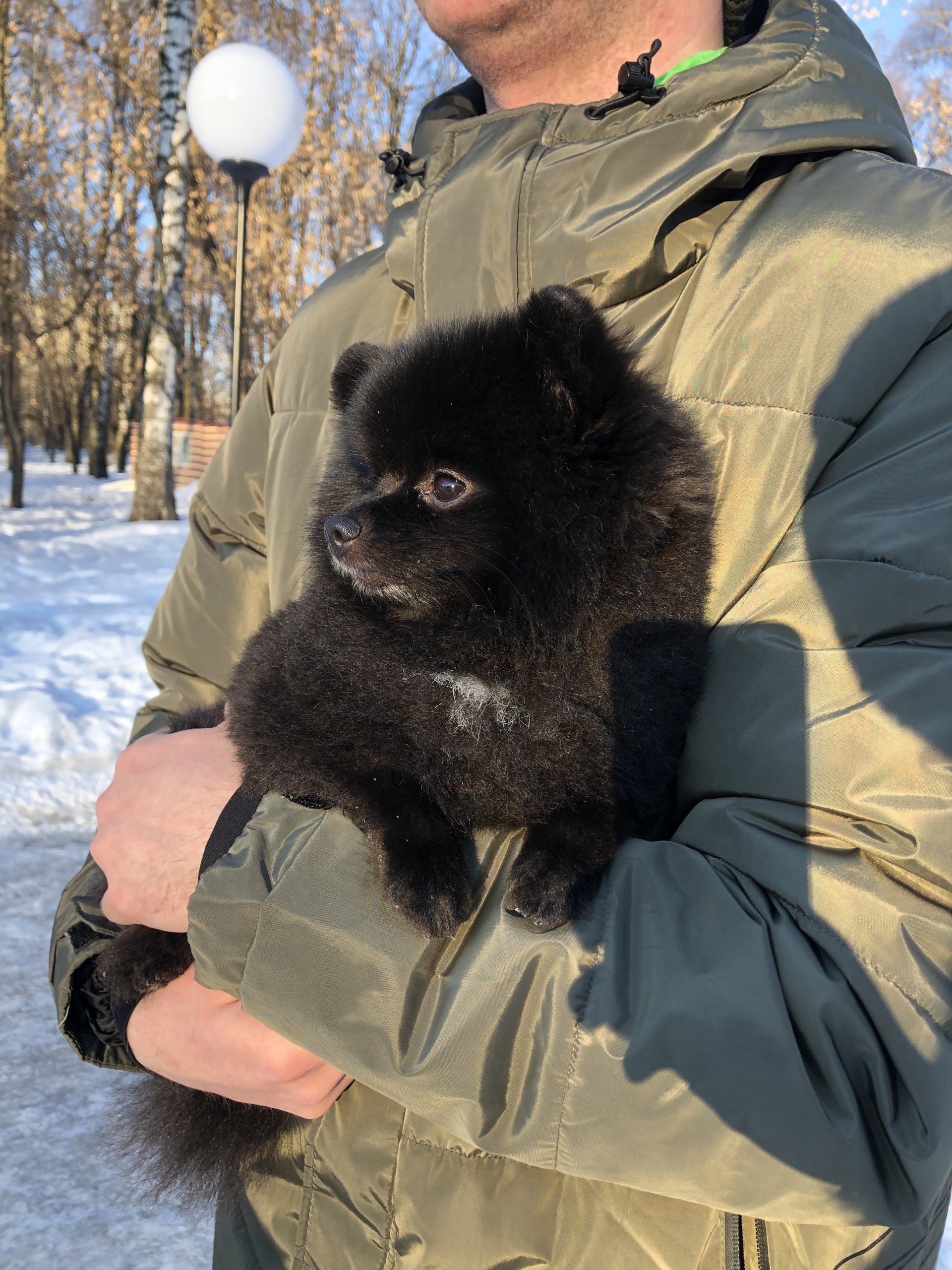 Rock Dog, груминг-салон, Маланова, 23 к2, Ярославль — 2ГИС