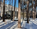 Pinewood resort&SPA: отзыв от Оля Курлыкова