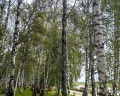 Апартель: отзыв от Юлия Афанасьева