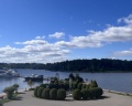 Radisson Resort Zavidovo: отзыв от Natalya Sizykh