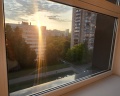 Белое дерево: отзыв от Эльвира Ханова