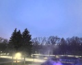 Дубки: отзыв от Мария Степанова