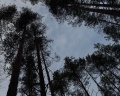 Mystic Hills: отзыв от A Akkerman