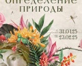 Сочинский художественный музей имени Д. Д. Жилинского: отзыв от Юлия П
