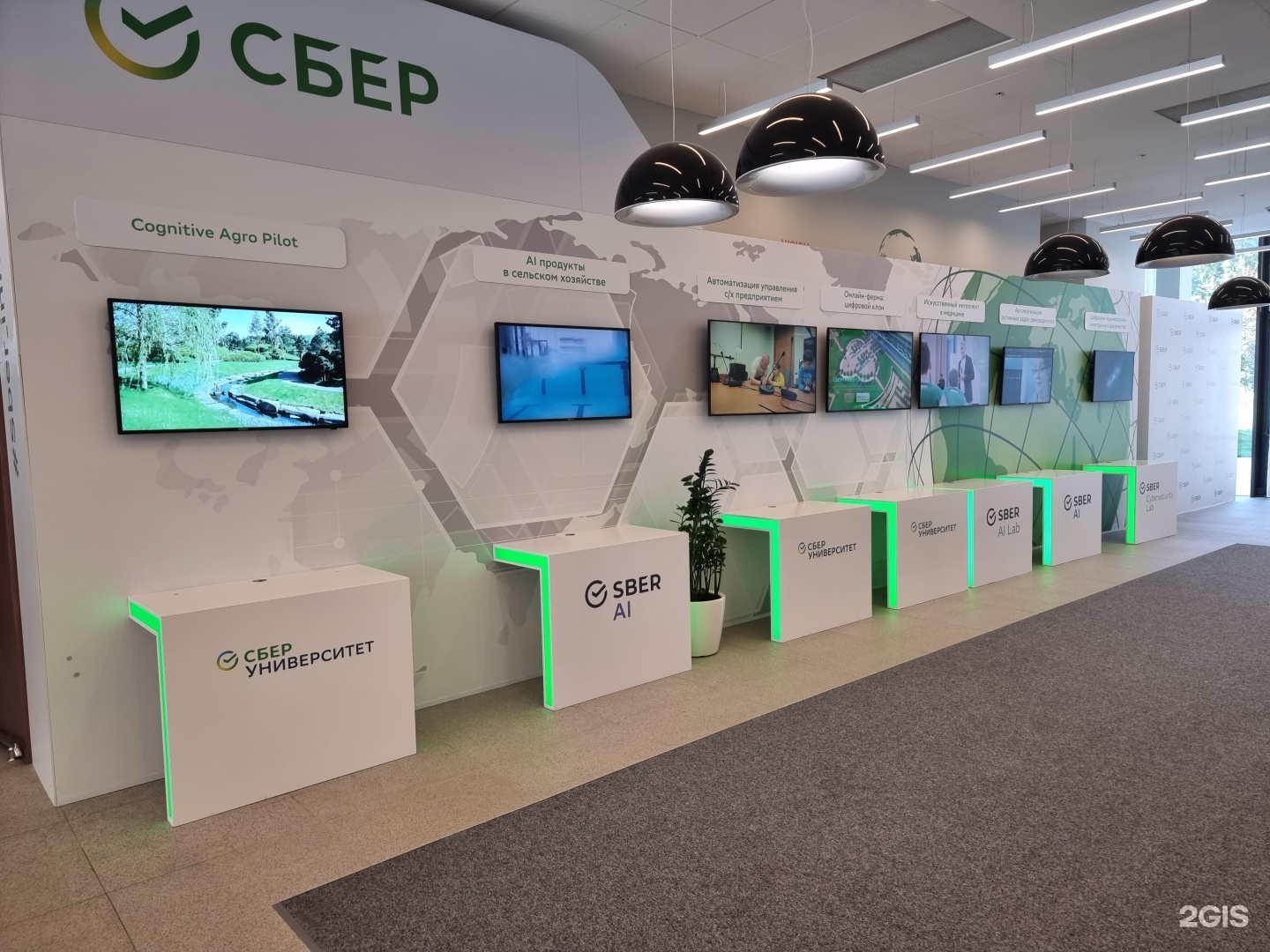 Сберуниверситет университетская ул 1 д аносино отзывы
