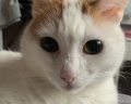 Гостиница «Ленинградская»: отзыв от Давидос Котос🐈🐈🐈🐈🐈💨