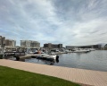 Radisson Resort Zavidovo: отзыв от Павел Корчагин