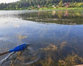 Петергоф: отзыв от Наталья М