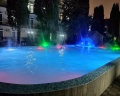 Кипарис: отзыв от Татьяна С.