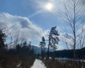 Loft №12: отзыв от Ирина Лазутина