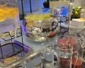 Soluxe Hotel Moscow: отзыв от Маргарита Машошина