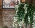 Loft Garden: отзыв от Maria Kataeva