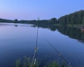 Стрелинка: отзыв от Елена Смирнова