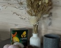NS house: отзыв от Apple User