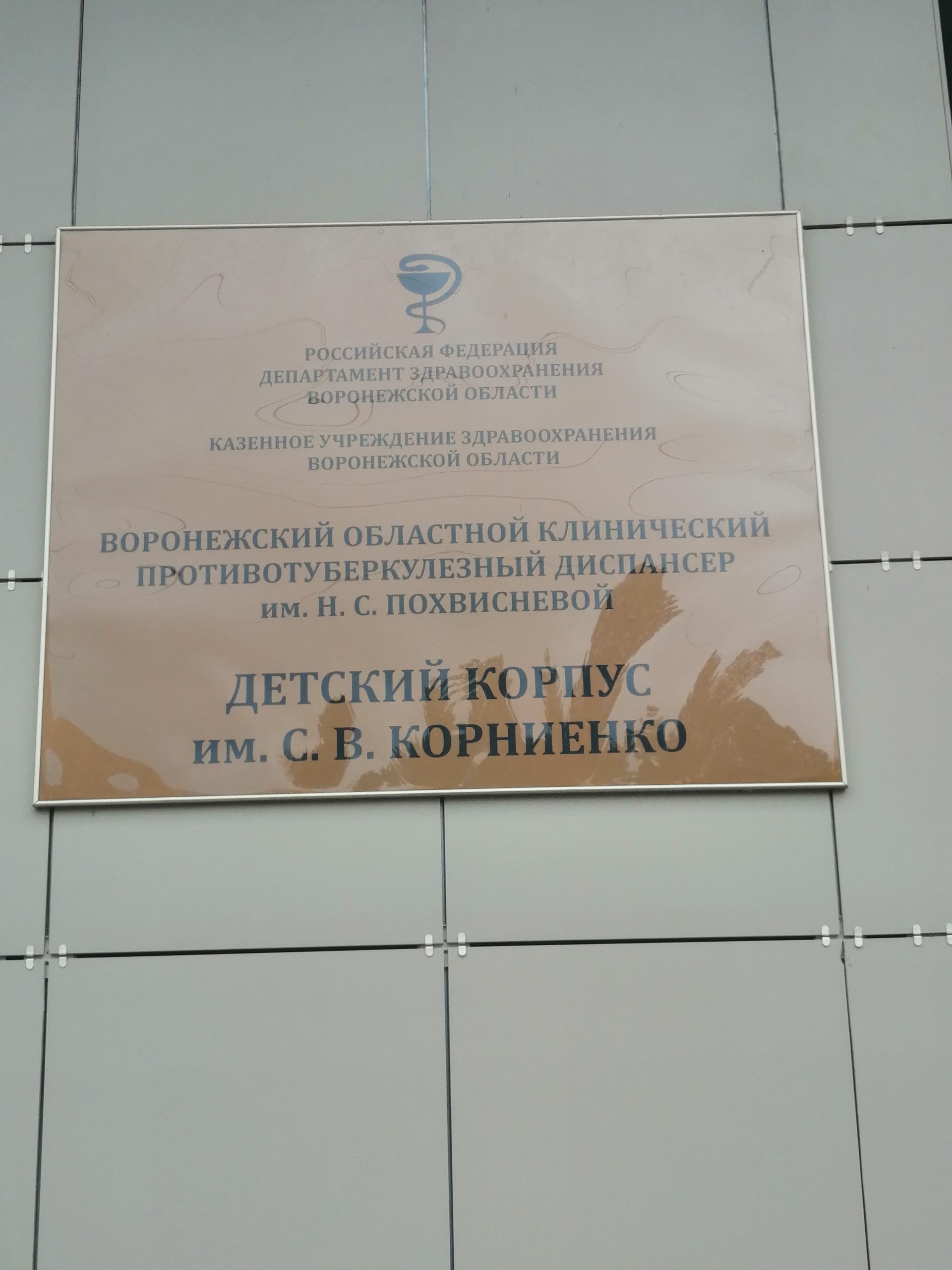 Детское отделение им. С.В. Корниенко, корпус №4, Тепличная, 1е/1, Воронеж —  2ГИС