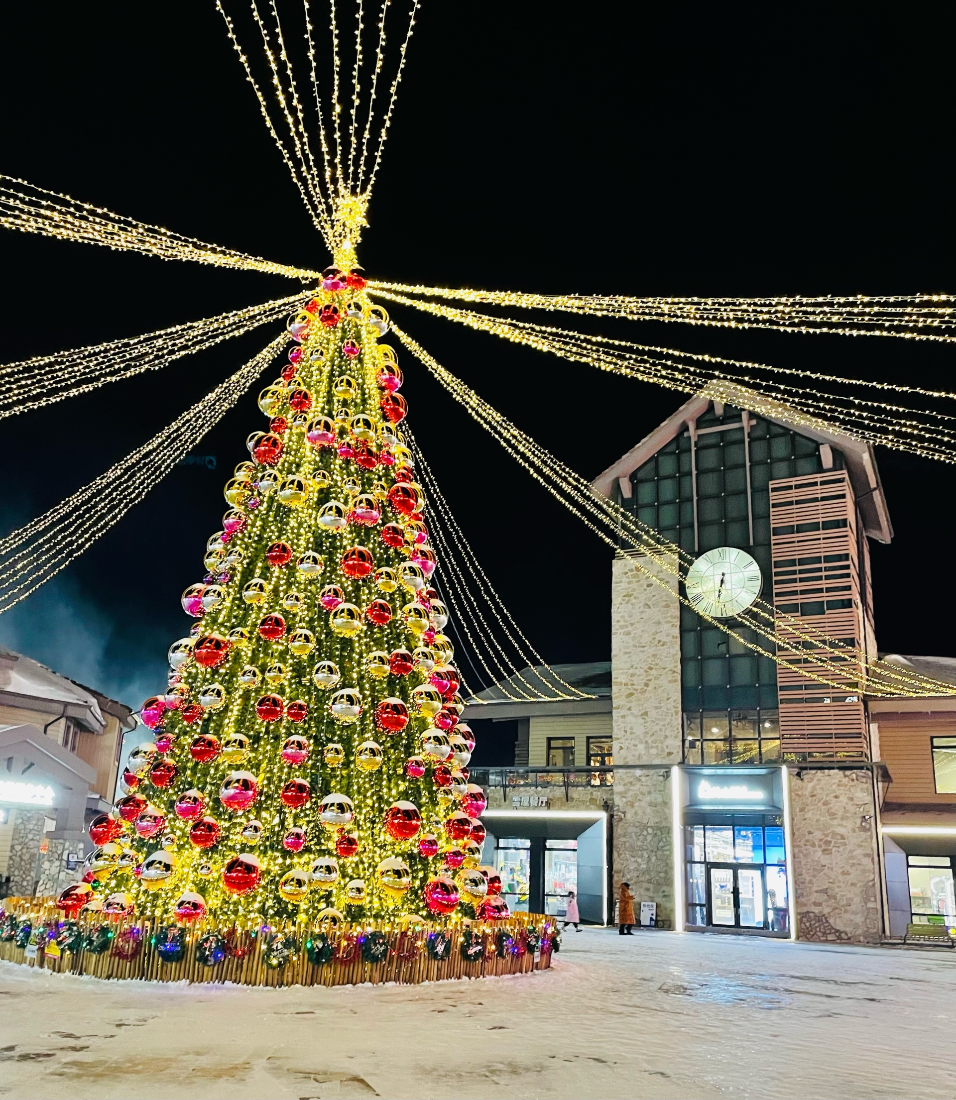 Восток Интур, транспортно-экскурсионная компания, БЦ City-Hall, улица  Запорожская, 77, Владивосток — 2ГИС