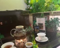 SPA-Курорт Кедровый: отзыв от Мария Рябкова