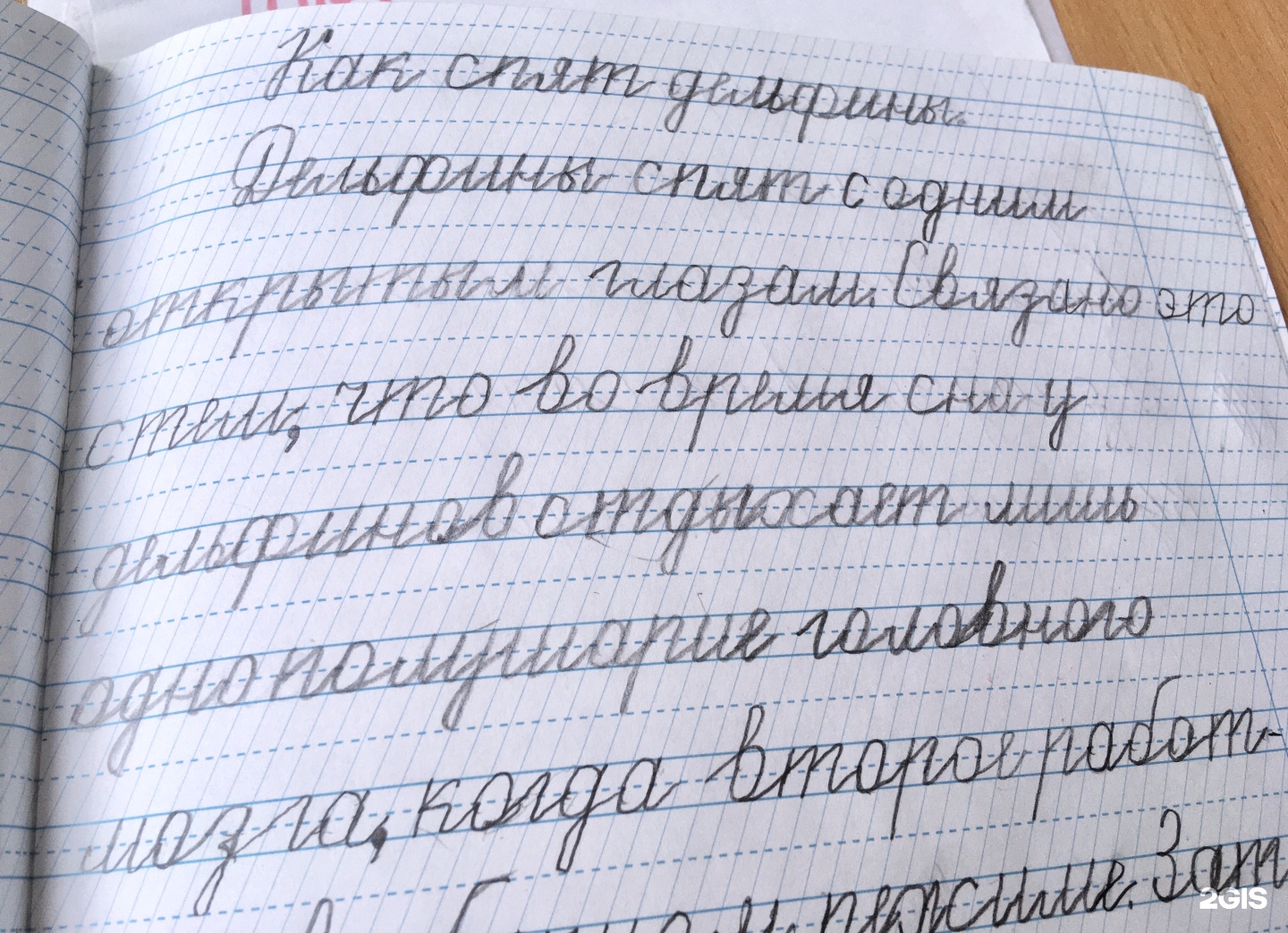 Золотая литера, студия каллиграфии, Современник, Сиреневый бульвар, 15Б,  Екатеринбург — 2ГИС