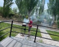 Тополя: отзыв от Наталька Малькова