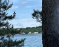Кукушка: отзыв от Надежда Безверхняя