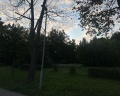 Петровский парк: отзыв от Юрий Kuzmin-seo.ru