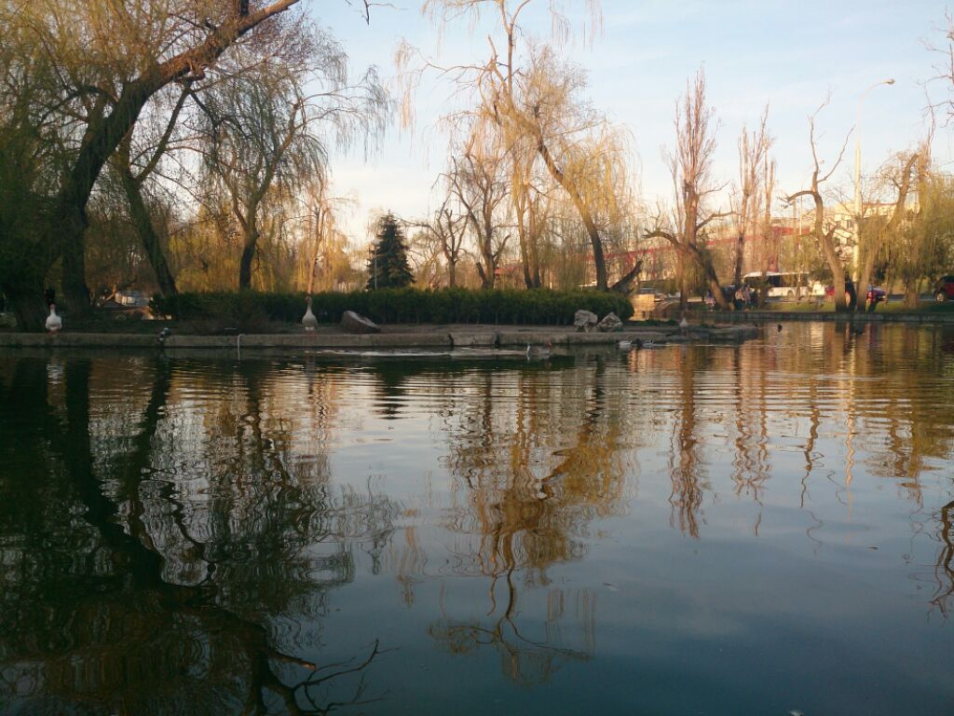 Городской сад им. М.Горького, Постовая, 34а, Краснодар — 2ГИС