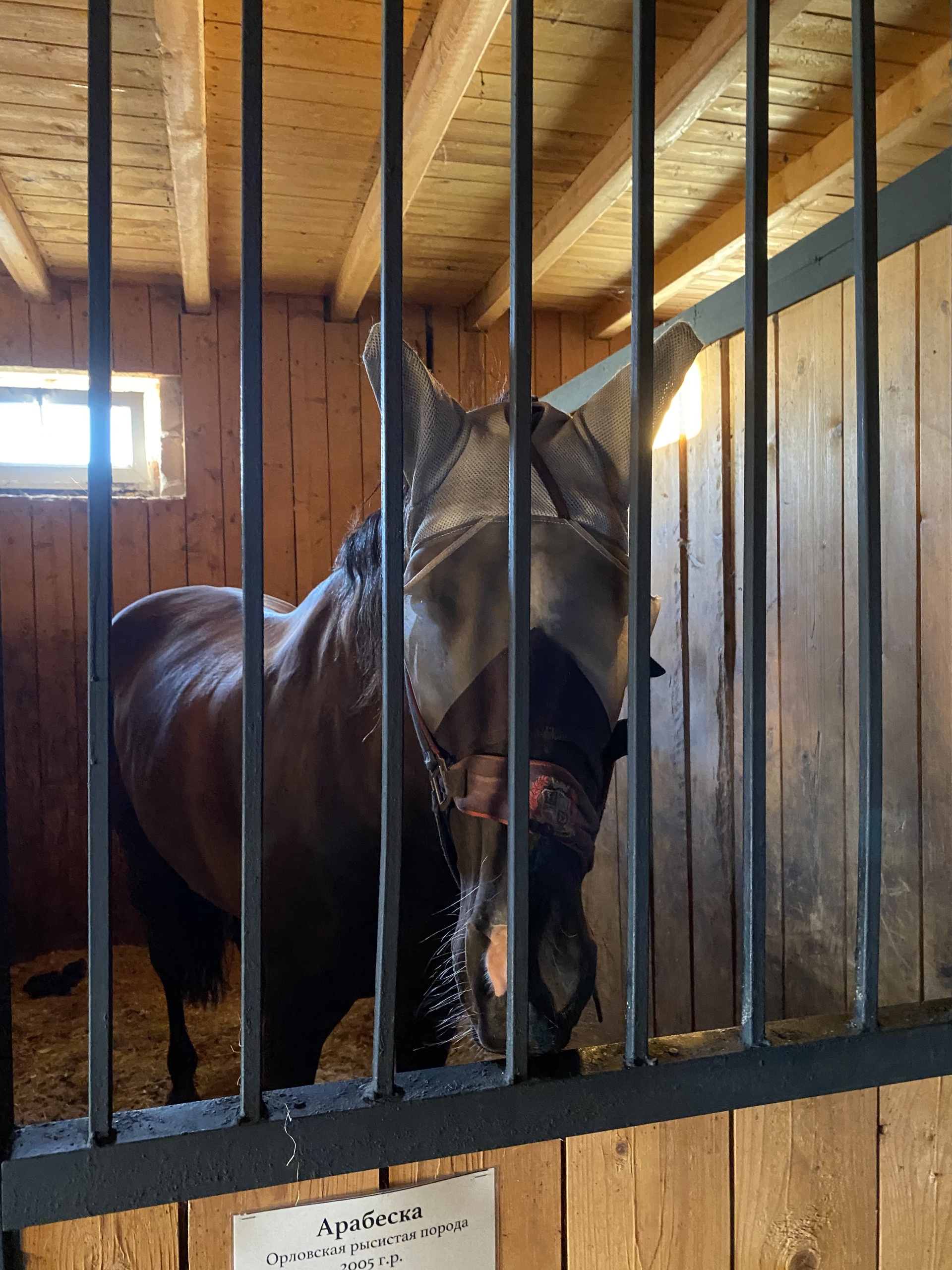 Western Horse, конный клуб, Брусничная улица, 0, д. Разбегаево — 2ГИС