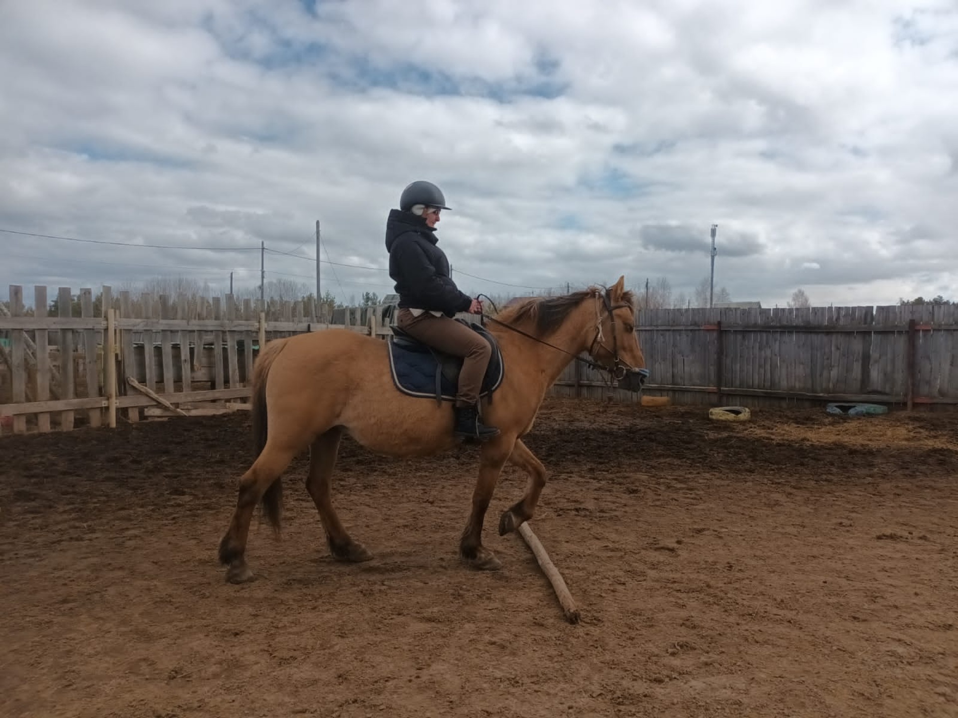 Фаворит, конный клуб, Сосновый бор, Земляничная, 36, Братск — 2ГИС