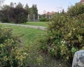 Роза ветров: отзыв от Евгения Вострокнутова