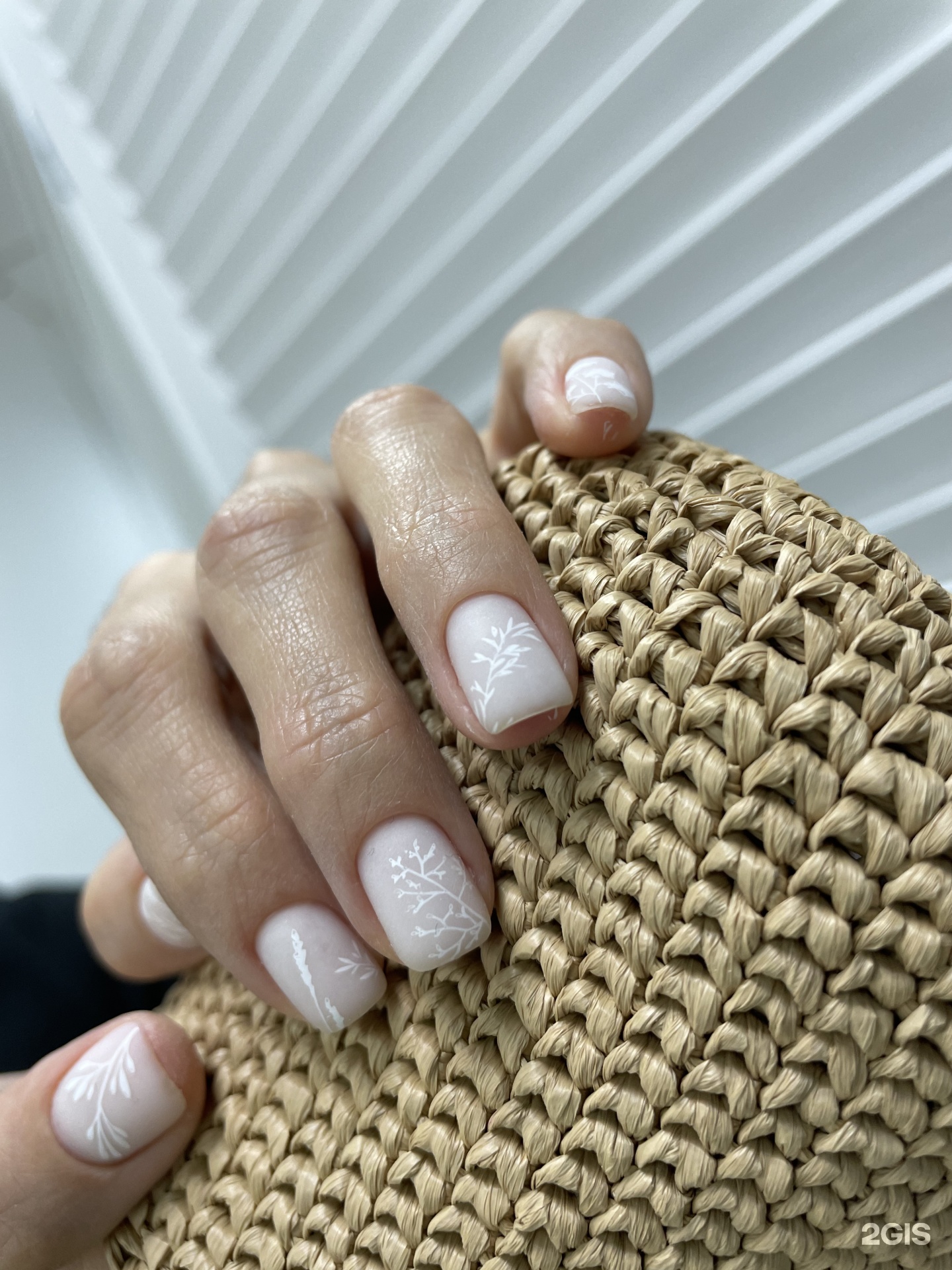 Dikii nail, студия, Авиатор, им. Плякина А.В. улица, 1, Саратов — 2ГИС