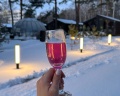 Сосновый бор: отзыв от Александра Алексеева