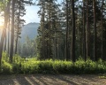 Altay River: отзыв от Ксения К