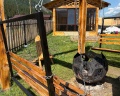 Душа Алтая: отзыв от Виктория Ч