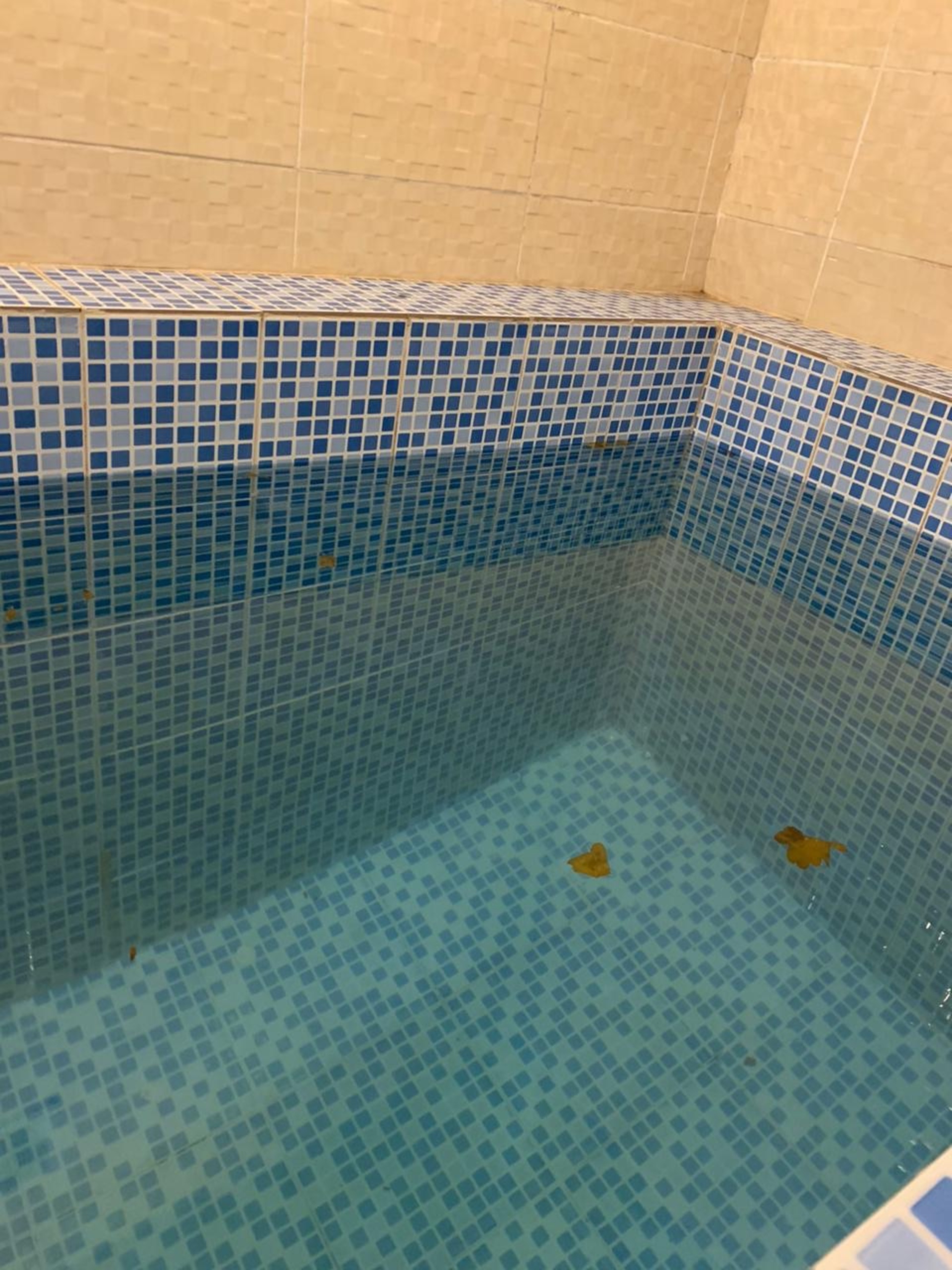 Жалаңаш демалып жатырмыз