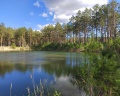 Хвойный берег: отзыв от Юлия Луценко