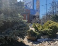 ParkCity: отзыв от Ирек Галеев