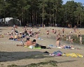 Пруд лесной: отзыв от Татьяна Никитина