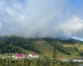 Замок Эдельвейс: отзыв от Галина К