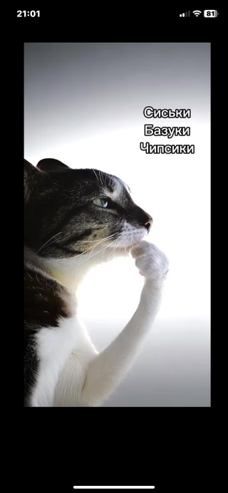 Студиядағы барлық порно жұлдыздар жеке