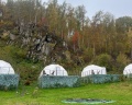 Горыныч: отзыв от Виолетта Резанова