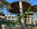 Volna Sea Village: отзыв от Анна Анна