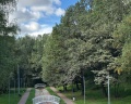 Лианозовский парк: отзыв от Валерия Фатьянова