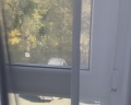 Тесса: отзыв от Sberid User