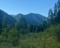 Pinewood resort&SPA: отзыв от Елена Ш