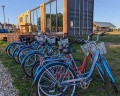 Носороги: отзыв от Городская легенда