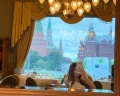 Гостиница «Националь»: отзыв от Amina ❤️