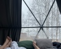Holidays Forest: отзыв от Елена Д