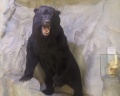 Музей природы: отзыв от Городской житель